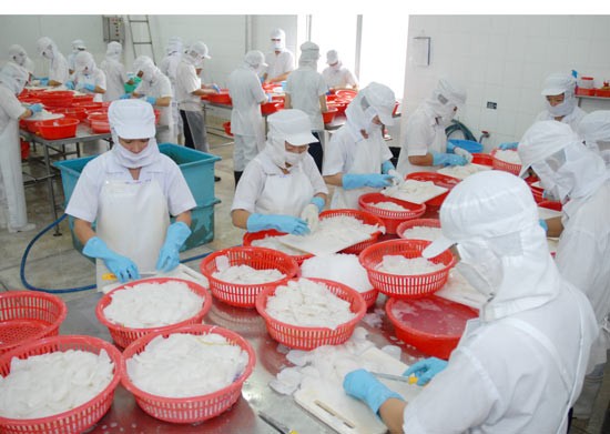 An export cuttlefish processing plant in HCMC (Photo: SGGP)